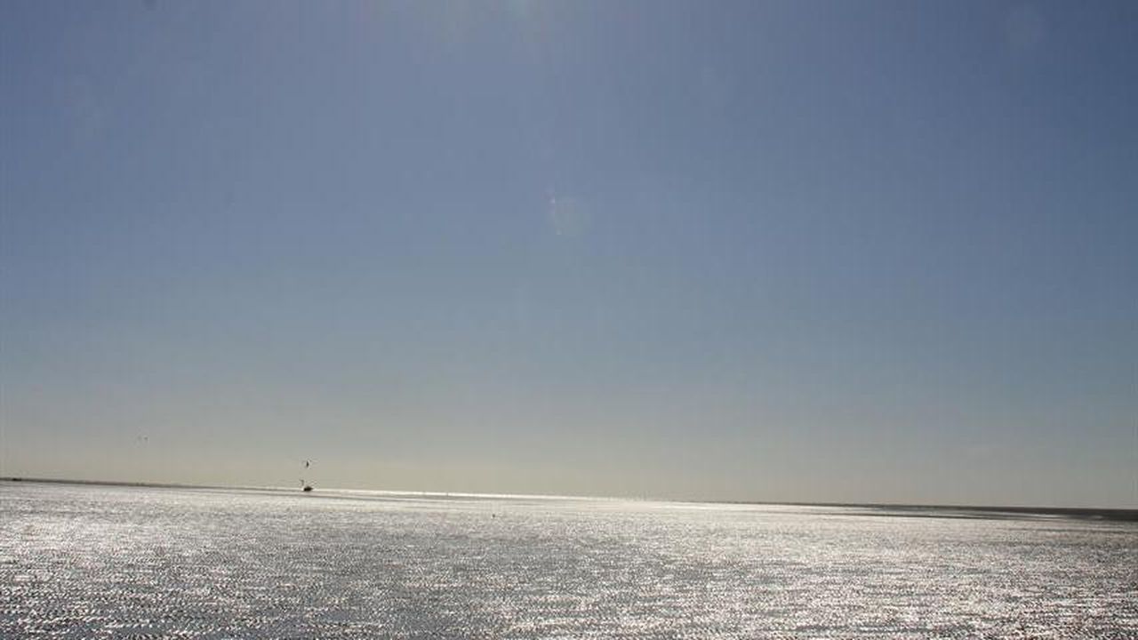 Sonnenschein im Watt Sonnenschein im Watt